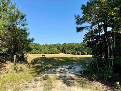 28+/- Acres-TBD Frank Cribb Rd, Georgetown, SC 29440 - photo 3