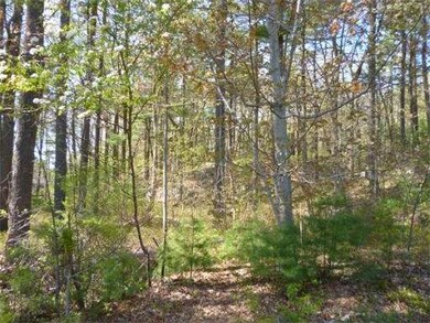 245 River Street Extension, Billerica, MA 01821 - photo 4