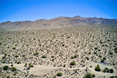 8935 La Contenta Rd, Joshua Tree, CA 92252 - photo 7