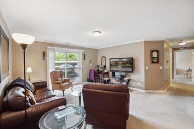 11-46063-Tallgrass-Ct-Belleville-MI-4811