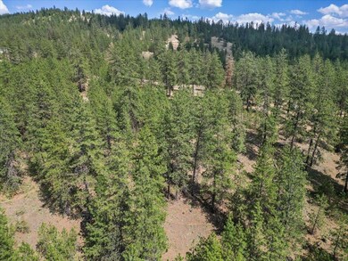 NKA Weaver Way unit Lot D of Lot 6, Deer Park, WA 99006 - photo 6