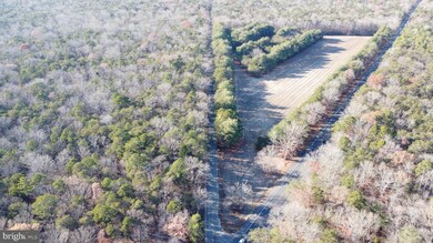 0 Route 347 and Carlisle Place Rd unit NJCB2027664, Dorchester, NJ 08316 - photo 7