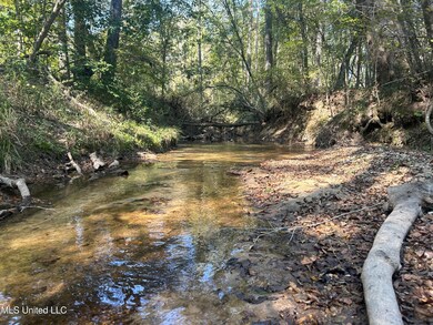 0 Rails Rd, Georgetown, MS 39078 - photo 7