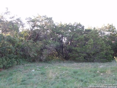 11226 Blue Waters, Helotes, TX 78023 - photo 4