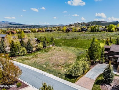 5795 Mountain Ranch Drive-11