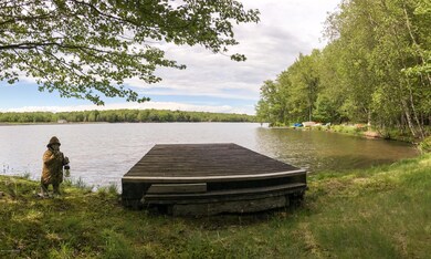 1125 Cherokee Dr, Pocono Lake, PA 18347 - photo 7