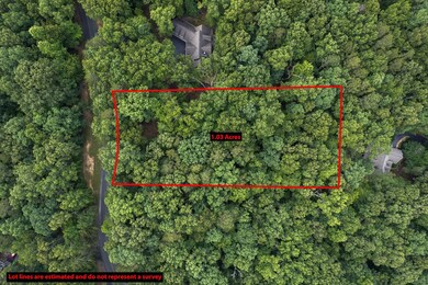 LT 80 Doll Mountain Rd, Ellijay, GA 30540 - photo 3