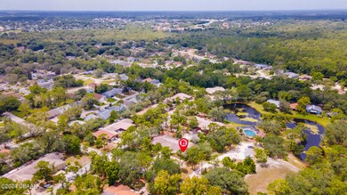 151 Magnolia Loop Aerials-2