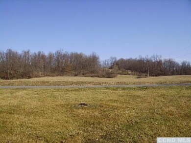 157 Simons Rd, Ancram, NY 12502 - photo 3