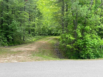 Lots 19 & 20 E Pinecrest Dr unit 24, Secord Township, MI 48624 - photo 2