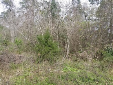 00 Briarcliff St, Conroe, TX 77385 - photo 2