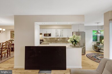 11216 Chestnut Grove Square unit 10, Reston, VA 20190 - photo 7