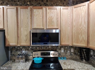 5230 Wyndholme Cir unit 31, Baltimore, MD 21229 - photo 5