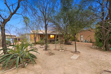 Back yard looking North