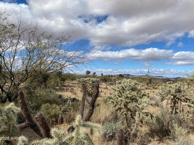 +/-5acres W State Rd, Three Points, AZ 85736 - photo 4