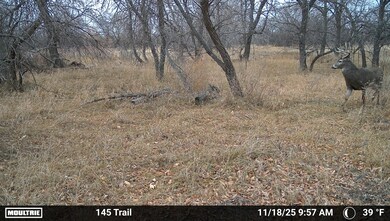 12120 Colorado 59, Sedgwick, CO 80749 - photo 3