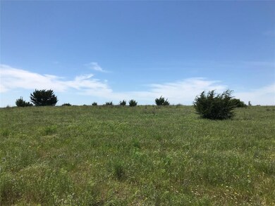 1043 Kingsley Ct, Weatherford, TX 76087 - photo 3