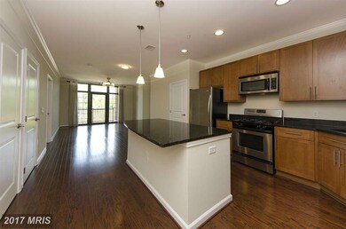 The Spectrum unit 711, Falls Church, VA 22046 - photo 4