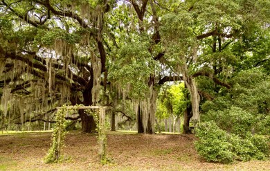 9283 Tallokas Rd unit 54/13, Pavo, GA 31778 - photo 4