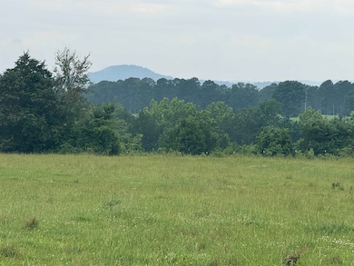 20 Allure Ln, Mountain View, AR 72560 - photo 5