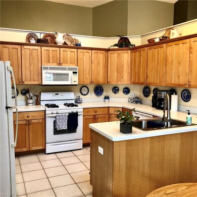 110 Chesterton Ln unit 18, Aurora, OH 44202 - photo 3