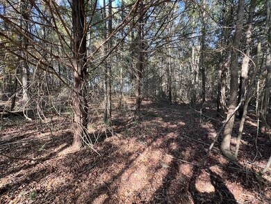 3 ac County Road 404, Elba, AL 36323 - photo 4