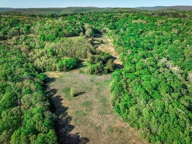 676 N Devils Den Rd, Winslow, AR 72959 - photo 7