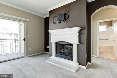 12929 Centre Park Cir unit 417, Herndon, VA 20171 - photo 3