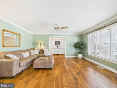 56 Smoot Rd, Woodstock, VA 22664 - photo 3