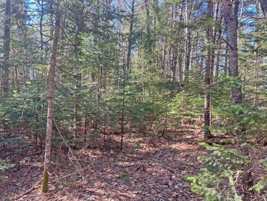 Lot 7 Joy Way, Ellsworth, ME 04605 - photo 4