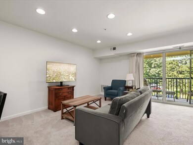 1134 Cove Rd unit 302, Annapolis, MD 21403 - photo 5