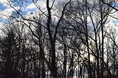 3884 Underwood Dr, Bitely, MI 49309 - photo 7