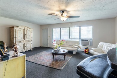 4010 Eastview Ave, West Palm Beach, FL 33407 - photo 5