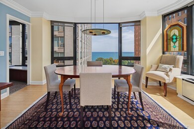 1555 N Astor St unit 12SE, Chicago, IL 60610 - photo 6