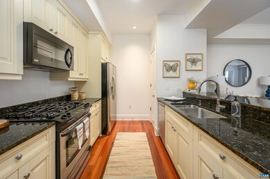 210 10th St NE unit 101, Charlottesville, VA 22902 - photo 3