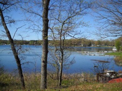 288 Pine St, Bitely, MI 49309 - photo 4