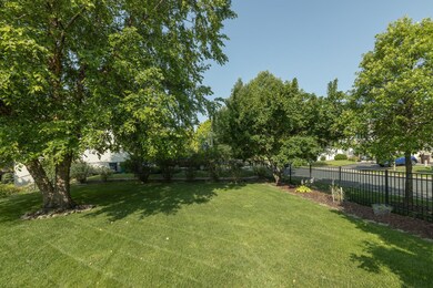 yard with fence.jpg