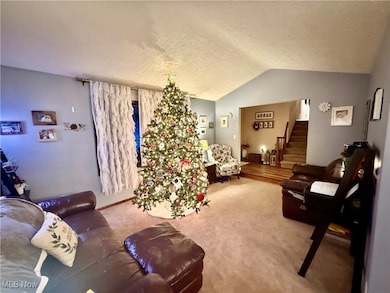 939 Robin Hood Dr, Follansbee, WV 26037 - photo 6