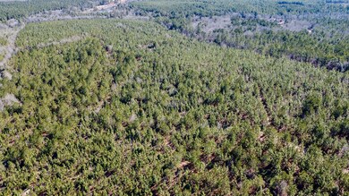 Longleaf Hill Land for Sale in SC-07