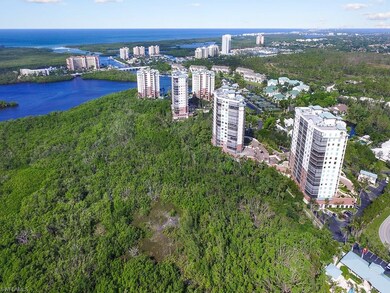 Cove Towers, overlooking Wiggins Pass and the Gulf