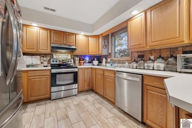 2440 Hwy 2153 unit Morganfield, Morganfield, KY 42437 - photo 3