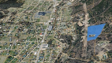 122 Ed Stout Rd, Hampton, TN 37658 - photo 6