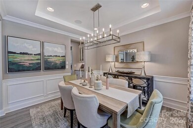 REPRESENTATIVE PHOTO