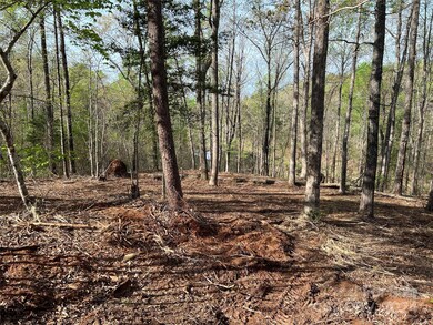 0 Moss Dr unit 39 CAR3724319, Union, NC 28139 - photo 3