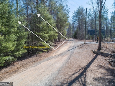 0 Bartox Dr unit 10474667, Ellijay, GA 30540 - photo 6