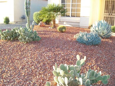 Attractive Desert Landscape at Front