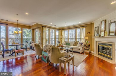 11205 Edson Park Place unit 48, Rockville, MD 20852 - photo 5