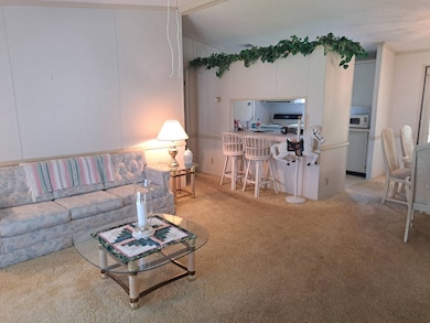 6355 Laramie Loop, Zephyrhills, FL 33542 - photo 6