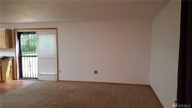 15302 Runyon Rd SE, Rainier, WA 98576 - photo 6