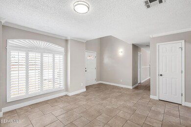 14133 de Stefano Ln, El Paso, TX 79928 - photo 3